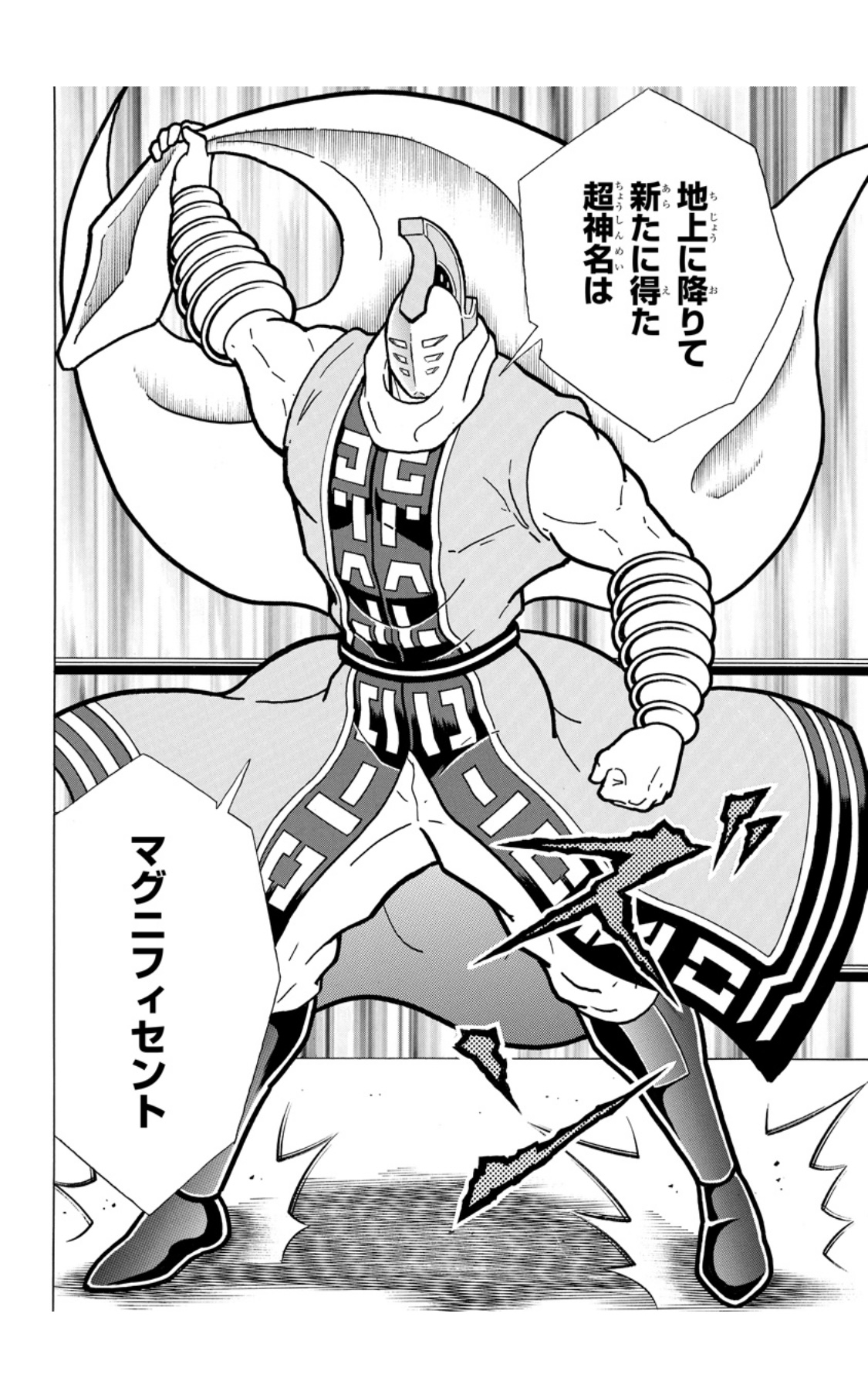 草マスクマン様 P.A.M YOKAZE VIGORMAN着用 スカジャン